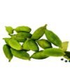 Cardamom
