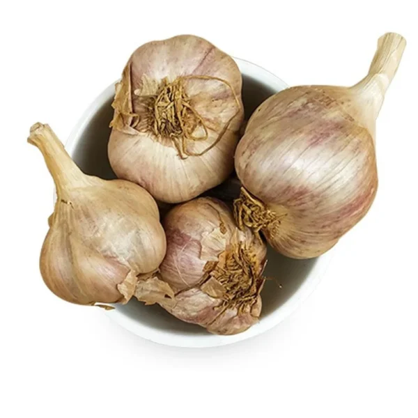 Poombarai Garlic